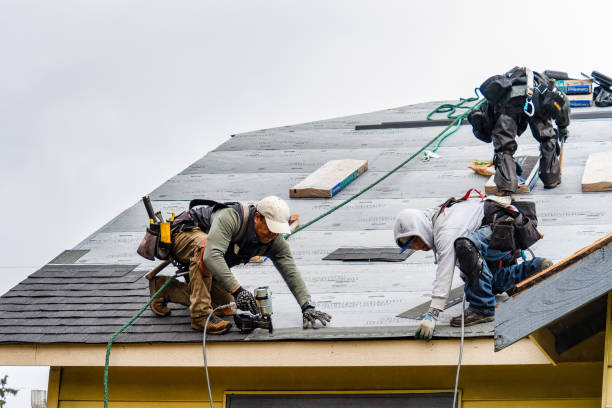 Professional Roofing technician working in Courtland, VA